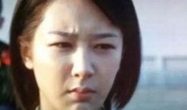 杨紫爆料烈火英雄视频,一场惊心动魄的消防员传奇