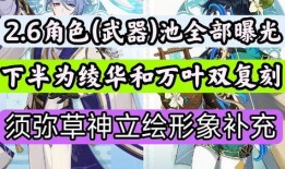 2.6卡池爆料最新,新角色与限定皮肤大揭秘，精彩不容错过！